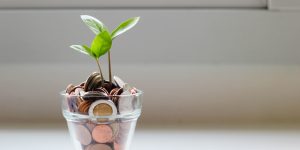 Money Plant & Funds
